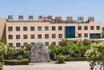 Chine Henan Yimu Technology Industry Co., Ltd.